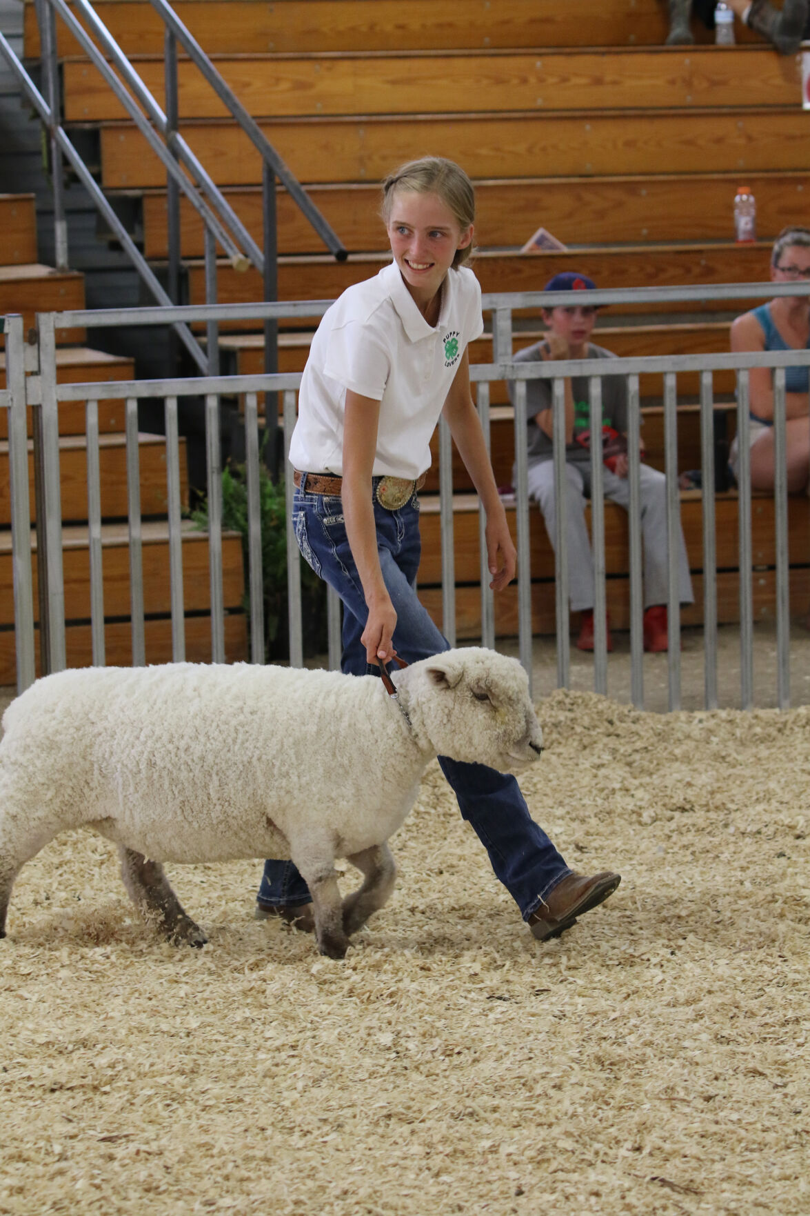 PHOTOS: Fiber Animal Show